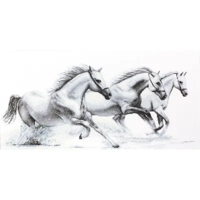 Скачать обои лошадь, чёрно-белое, конь, грива, бег разрешение 960x800  #205041