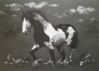 Купить Черно-белое животное искусство лошади живопись настенный холст HD  печать современная эстетика картина для гостиной домашний декор плакат  подарок | Joom