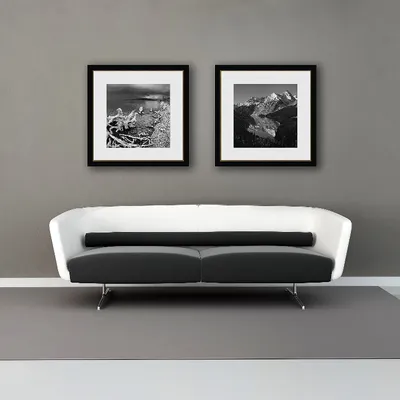 Модульная картина для интерьера на стену / Животные / \"Черно-белые тигры\"  80x140 см MK50228 - купить по выгодной цене в интернет-магазине OZON  (361378813)