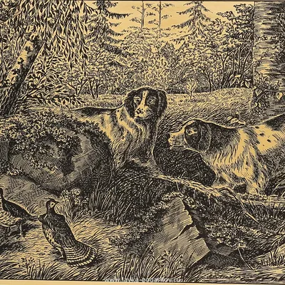 Татуировка монохромного оленей животные изолированную Иллюстрация вектора -  иллюстрации насчитывающей охота, ангстрома: 206354640