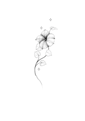 Настенный плакат с изображением растений, красивые черно-белые цветы,  плакат с цветами, скандинавский холст, картина для украшения гостиной |  AliExpress