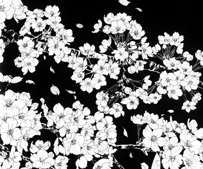 Черно-белые фото обои с цветами на стену 368x254 см Орхидеи и жемчуг  (3012P8)+клей (ID#1754670601), цена: 1200 ₴, купить на Prom.ua
