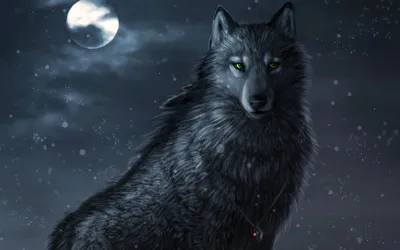 Надо ли бояться волка! | Животные и охота! | Дзен