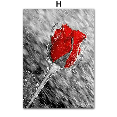 Картина на холсте для интерьера - черно-белая, нуар, красная роза 50х70 см  - купить по низкой цене в интернет-магазине OZON (1087910820)