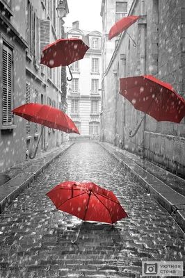 Фотообои \"Красные зонты летят по черно-белой улочке\" - Арт. 070249 | Купить  в интернет-магазине Уютная стена