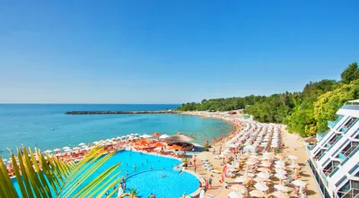 Продажи летних туров на Черное море в январе выросли на 60% | Ассоциация  Туроператоров