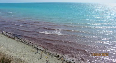 Страшное Черное море. Что древние греки о нем знали?