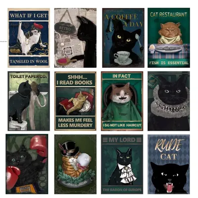 картинки : путешествовать, Млекопитающее, черная кошка, Черный, домашние  питомцы, Коты, Животные, чемодан, Смешные картинки, От маленьких до средних  кошек, Кошка как млекопитающее 2154x1458 - - 384721 - красивые картинки -  PxHere