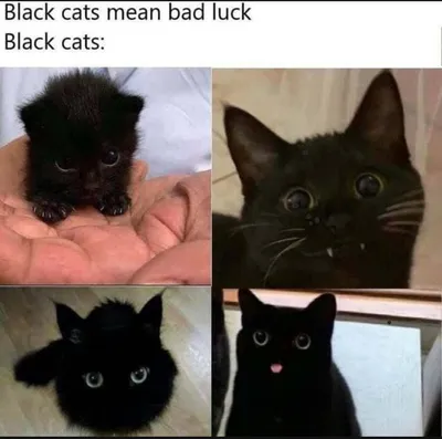 Черный кот на подоконнике, обои с кошками, картинки, фото 1600x1200
