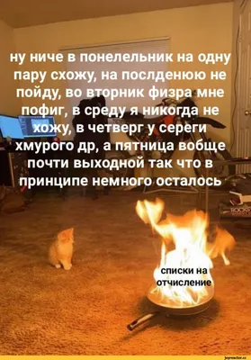 Смешные картинки на четверг (фото) - jokepix.ru