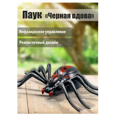 Краб-паук черная вдова» — создано в Шедевруме