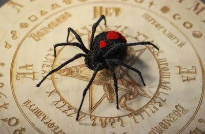 Купить модель паука Черная вдова магазин подарков и приколов в Минске  xlandby