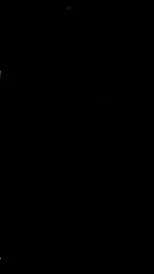 Пропала кошка, Чисто черная, вислоухая, ул. Чайковского 10, Нижний Тагил |  Pet911.ru