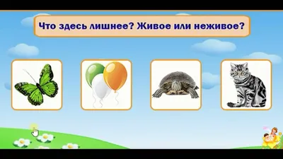 Дидактическая игра-занятие «Что лишнее?» для средней группы (4–5 лет) (3  фото). Воспитателям детских садов, школьным учителям и педагогам - Маам.ру