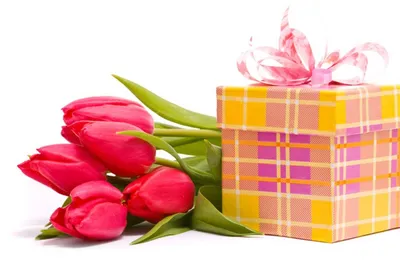 Подарок девушке на 8 марта - Блог
