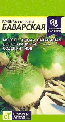 Брюква: целебный корнеплод из Сибири + 3 рецепта | Чудогрядка.рф | Дзен