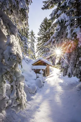 Чудесная зима стоковое изображение. изображение насчитывающей древесина -  29016245