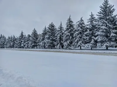 чудесная снежная украинская зима Стоковое Фото - изображение насчитывающей  зима, снежно: 122417908