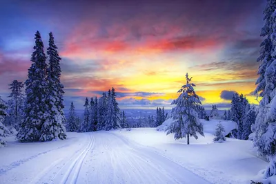 Чудесная зима» — создано в Шедевруме