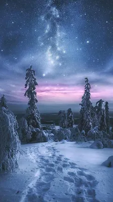 Зима – чудесная пора... Photographer Eduard Gordeev