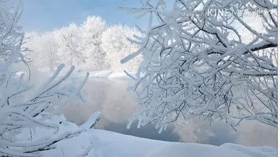 Чудесная предпосылка зимы с снегом и Bokeh зима снежка положения праздников  мальчика Стоковое Фото - изображение насчитывающей сезон, свет: 105567590