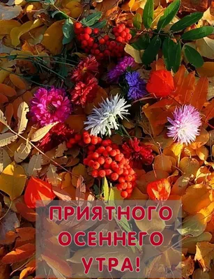 Самого доброго и приятного осеннего утра - Лента новостей Мелитополя