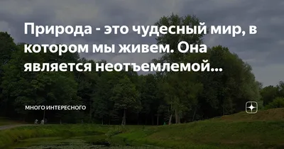 Книга Окно в удивительный мир: Чудесный мир живой природы Синтекс: цена 110  грн - купить Детские книги на ИЗИ | Харьков