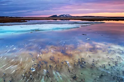 Дальний восток фото фотографии