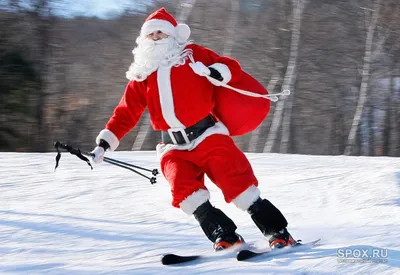 Дед Мороз на лыжах — раскраска для детей. Распечатать бесплатно.