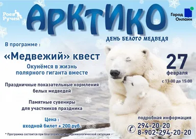 По следам белого медведя | Библиотеки Архангельска