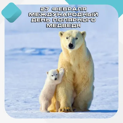 Международный день полярного медведя - РИА Новости, 27.02.2022