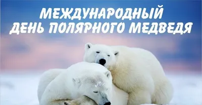 27 февраля – Международный день полярного медведя - Российская  Государственная библиотека для слепых