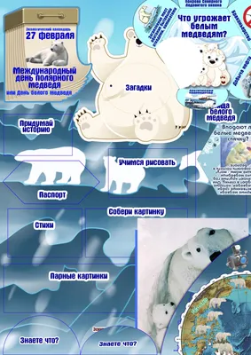 28 февраля в \"Белом мишке\" пройдет день белого медведя — ПОРА — Проектный  офис развития Арктики