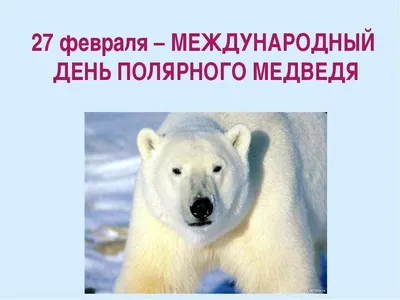 Ежегодно 27 февраля в мире отмечается Международный день полярного медведя  | ВЕРНОСТЬ ТВ - спасение животных | Дзен