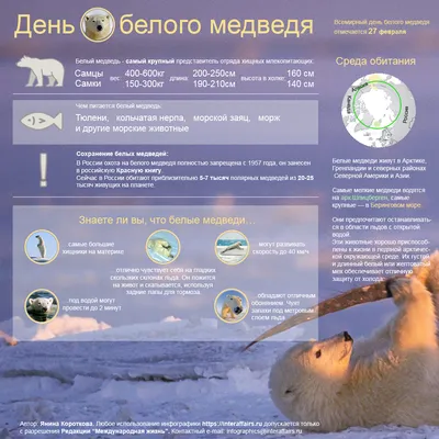 Международный день белого медведя 2021, Кигинский район — дата и место  проведения, программа мероприятия.