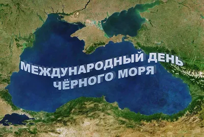 Международный день Черного моря 2020, Лискинский район — дата и место  проведения, программа мероприятия.