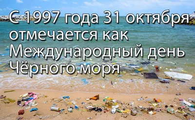 31 октября — Международный день Черного моря — Официальный сайт Керченского  городского совета
