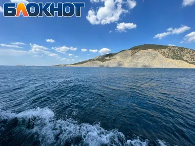 В Сочи отметят Международный день Черного моря | Новости Сочи Sochinews |  Дзен