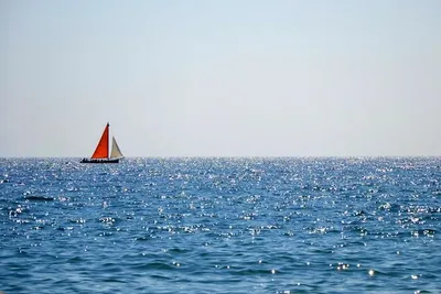 Международный день Черного моря – интересные факты о море