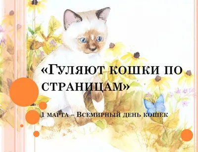 1 марта всемирный день кошек｜TikTok Search