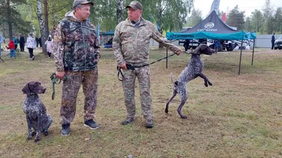 В День охотника прошел IV Открытый республиканский фестиваль «Охотники  Чувашии-2023» | Министерство природных ресурсов и экологии Чувашской  Республики