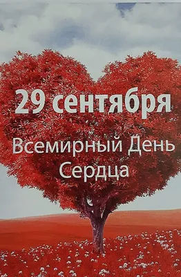 Всемирный день сердца – 29 сентября | Городская поликлиника №72