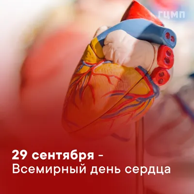 11 августа Международный день здорового сердца — ГБУЗ \"Пензенская областная  станция скорой медицинской помощи\"