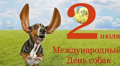 Сегодня Международный День собак.Мы поздравляем наших четвероногих -  НЕОВЕТ24 Сеть ветеринарных клиник