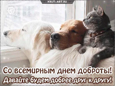 Международный день собак | ВКонтакте