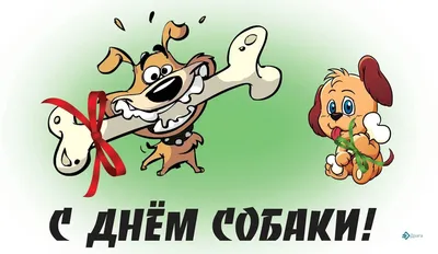 Милые открытки и поздравления во Всемирный день собаки 2 июля |  Курьер.Среда | Дзен