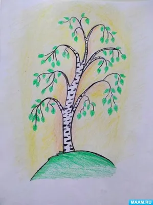 Картинки деревья весной для детей в детском саду (64 фото) » Картинки и  статусы про окружающий мир вокруг