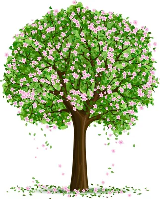 Весеннее дерево картинки для детей - 39 фото