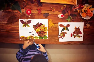 Игры на тему осень для детей | Ігри для дітей, дидактичні матеріали для  занять у дитячому садочку, поробки та розфарбовки | Зростай розумним!