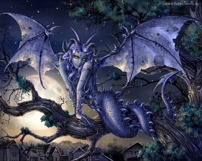 Девушка дракон - Стандартные обои - Галерея драконов - DragonSun - Все  самое интересное о драконах!